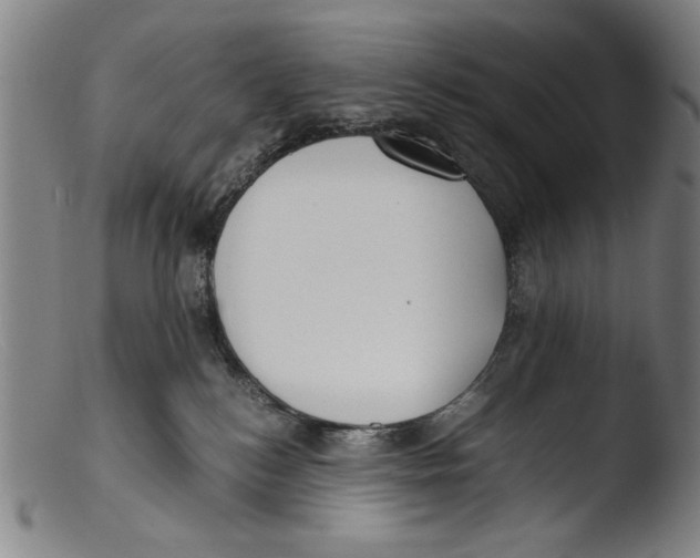 X0000103310184200809261345