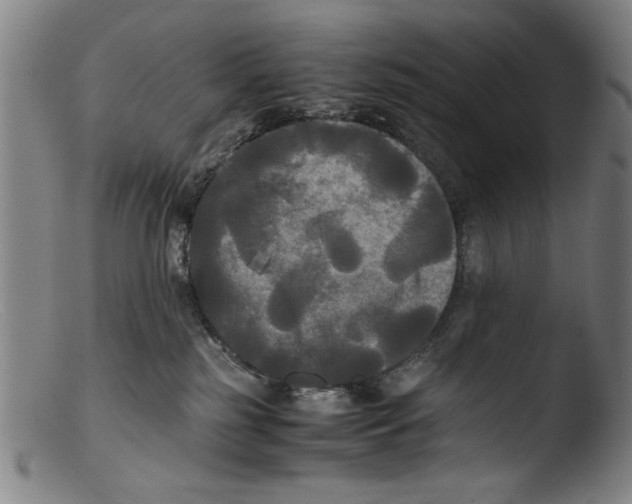 X0000103310185200809261345