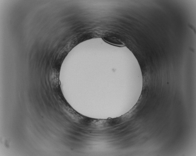 X0000103310186200809261345