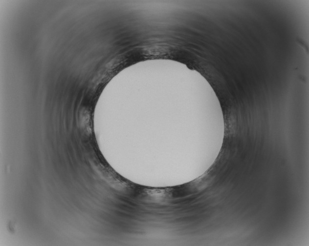 X0000103310187200809261345