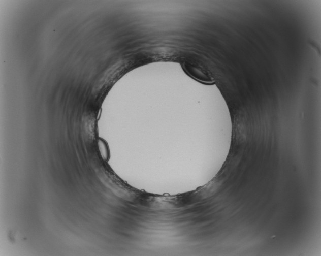 X0000103310188200809261345