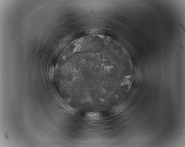 X0000103310189200809261345