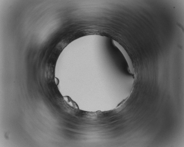 X0000103310190200809261345