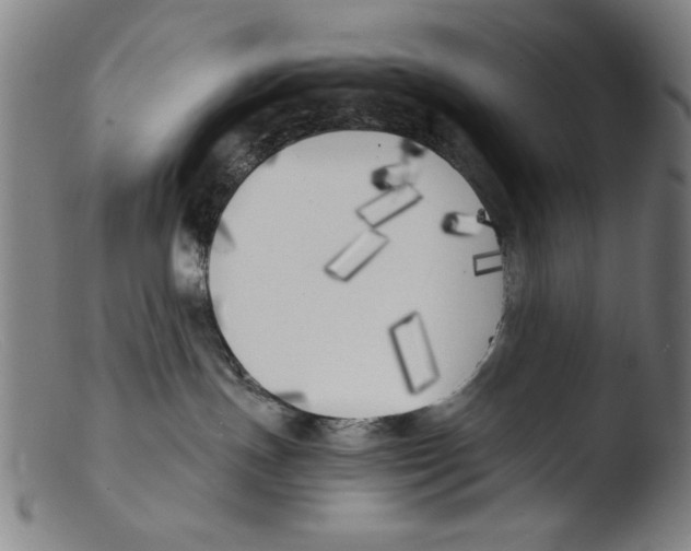 X0000103310191200809261345