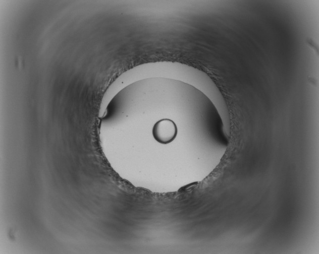 X0000103310192200809261345