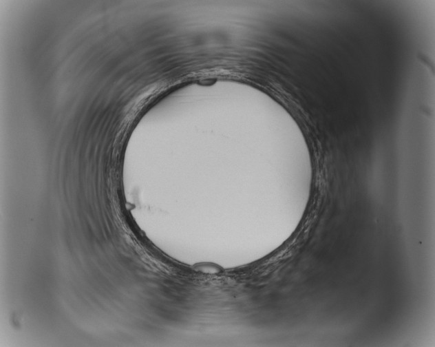 X0000103310193200809261345