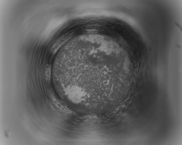 X0000103310194200809261344