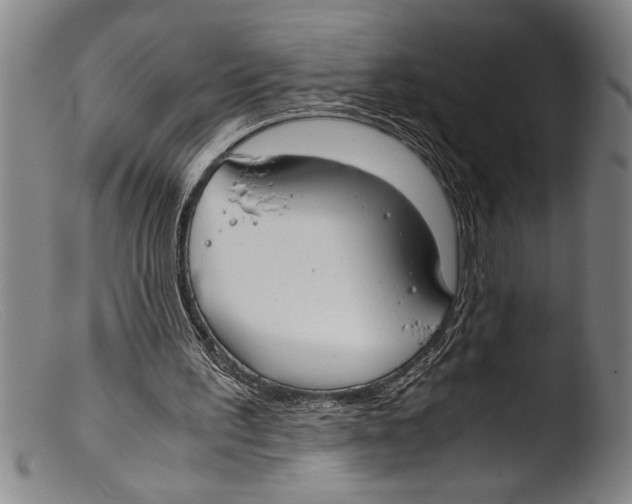 X0000103310195200809261344