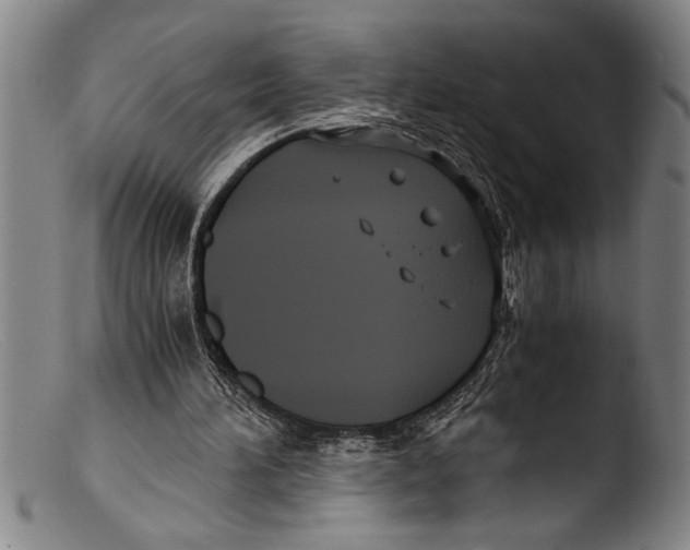 X0000103310196200809261344