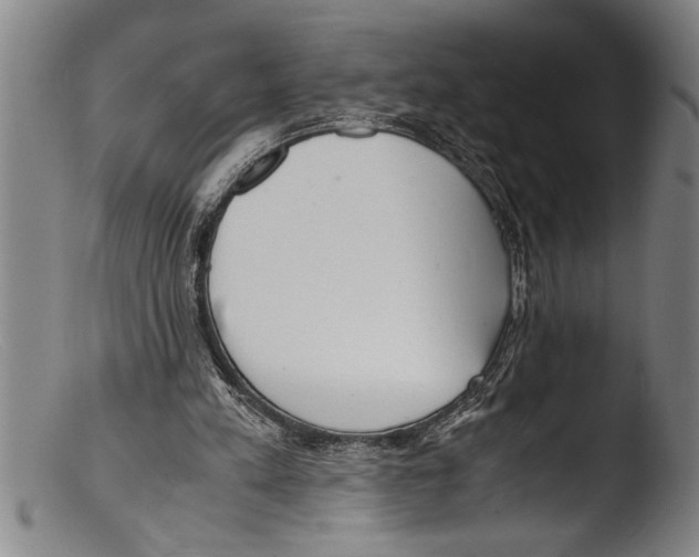 X0000103310197200809261344