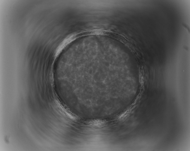 X0000103310198200809261344