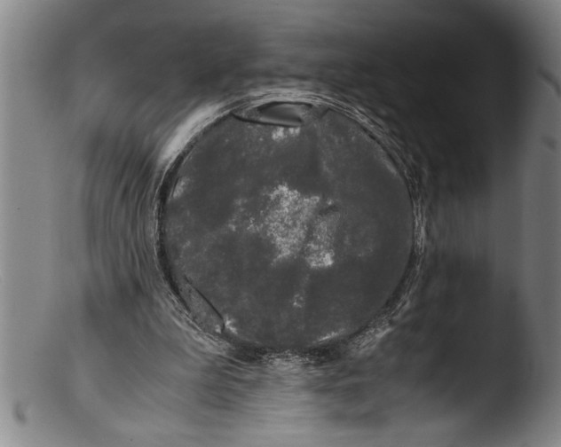 X0000103310199200809261344