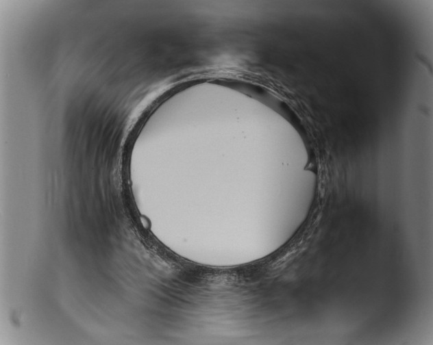 X0000103310200200809261344