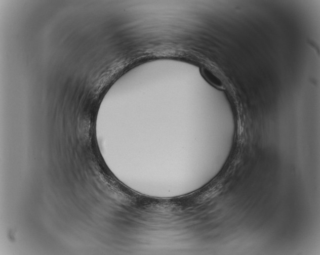 X0000103310201200809261344