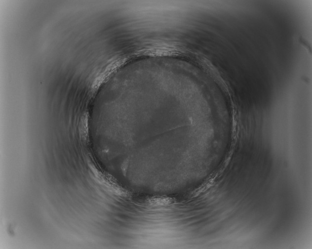 X0000103310202200809261344