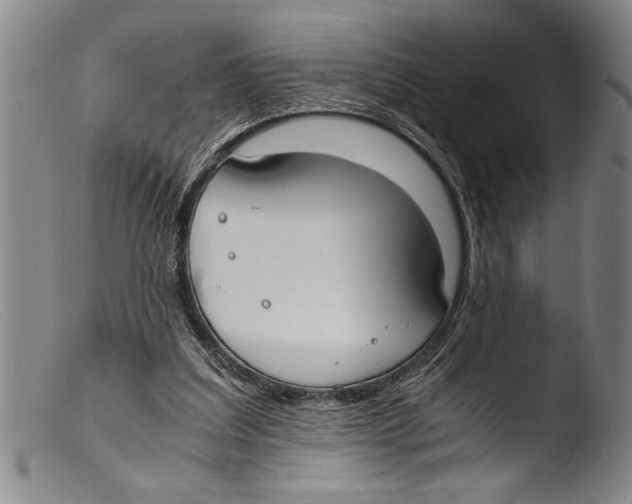 X0000103310203200809261344