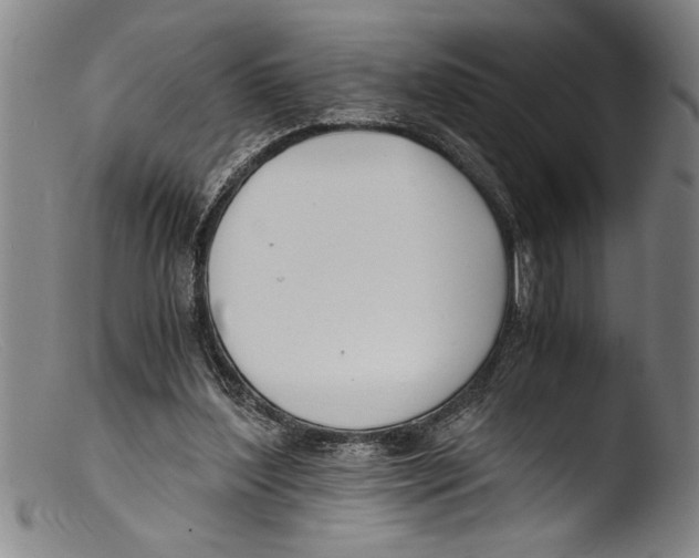 X0000103310204200809261344