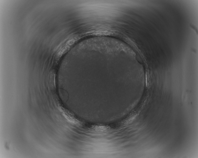 X0000103310205200809261344