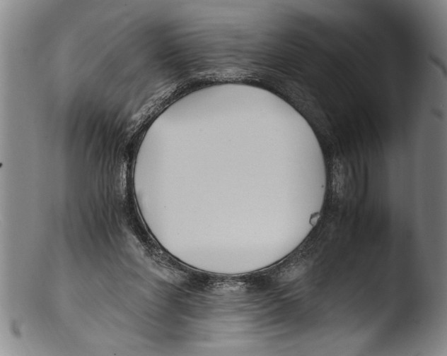 X0000103310206200809261344