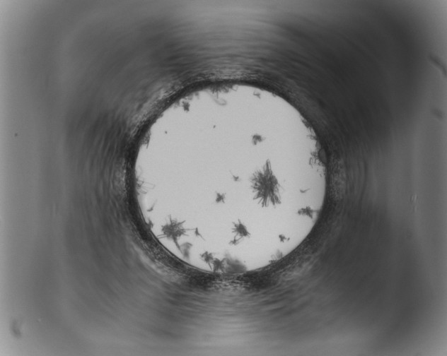 X0000103310207200809261344