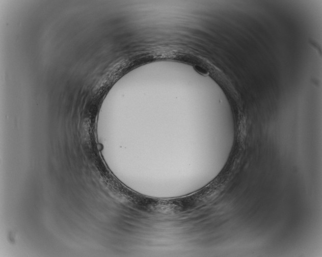 X0000103310209200809261344