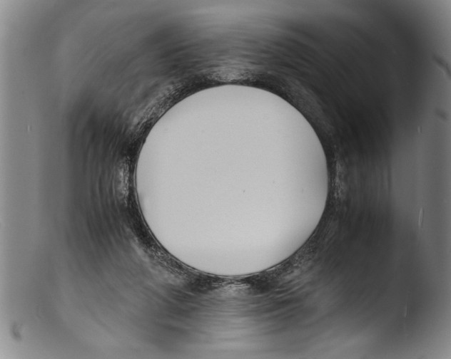 X0000103310210200809261344