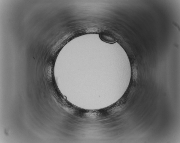 X0000103310211200809261344