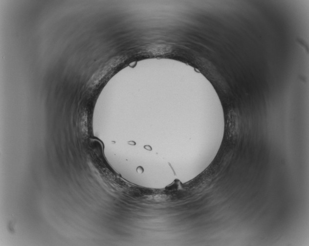 X0000103310212200809261344