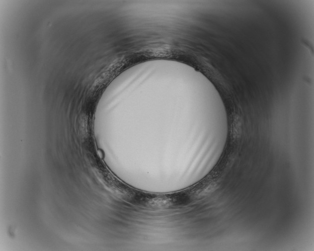 X0000103310213200809261344