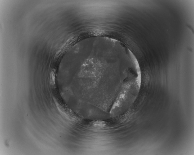 X0000103310214200809261344