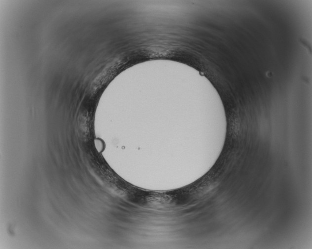 X0000103310215200809261344