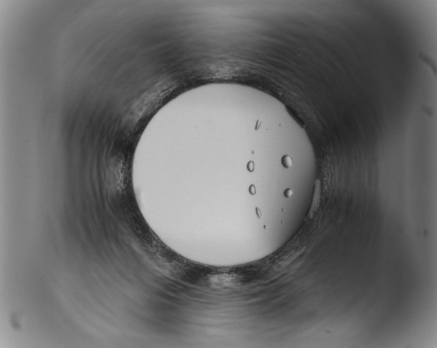 X0000103310216200809261344