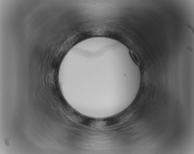 X0000103310217200809261344