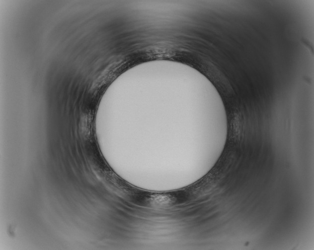 X0000103310218200809261344