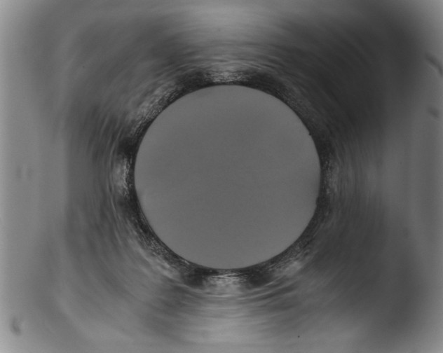 X0000103310219200809261344