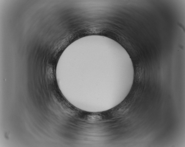 X0000103310220200809261344