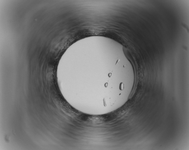 X0000103310221200809261344