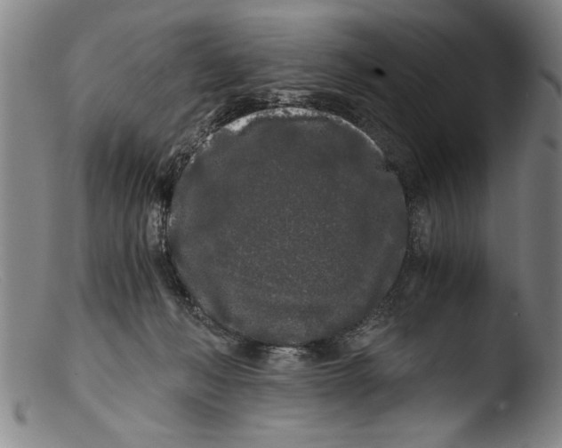 X0000103310222200809261344