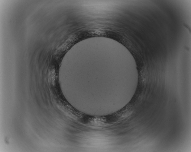 X0000103310223200809261344