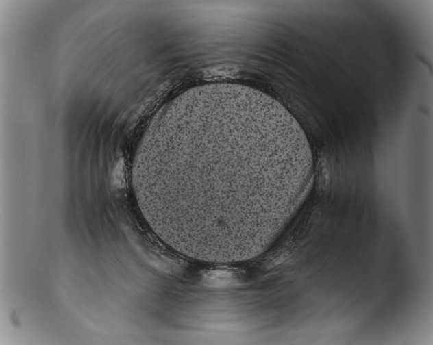 X0000103310224200809261344