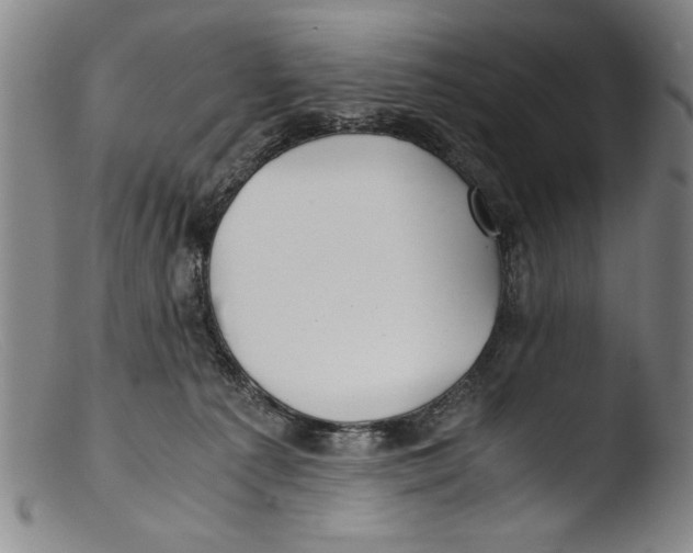 X0000103310225200809261344