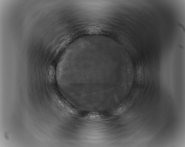 X0000103310228200809261344