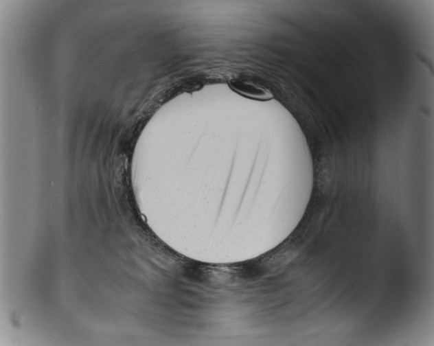 X0000103310229200809261344