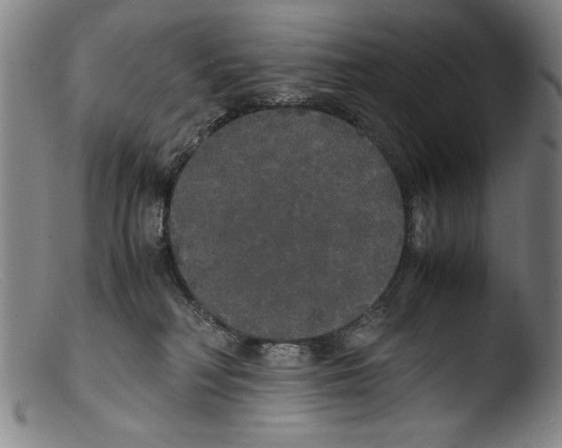 X0000103310230200809261344