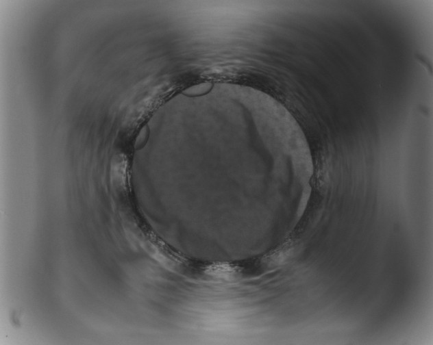 X0000103310231200809261344