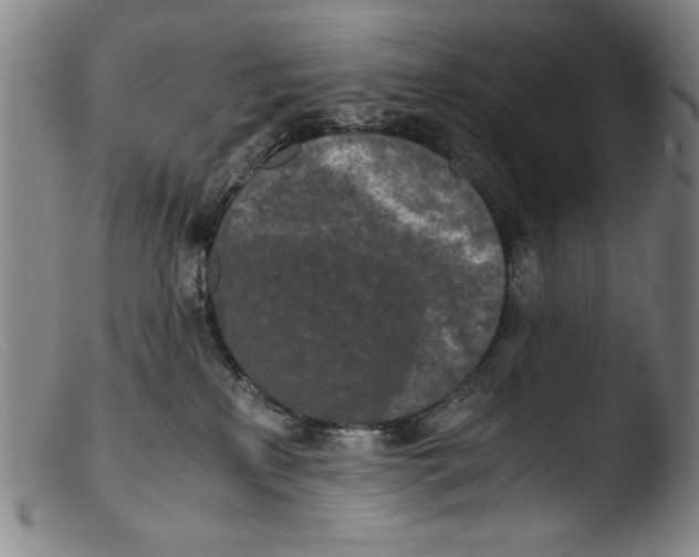 X0000103310233200809261344