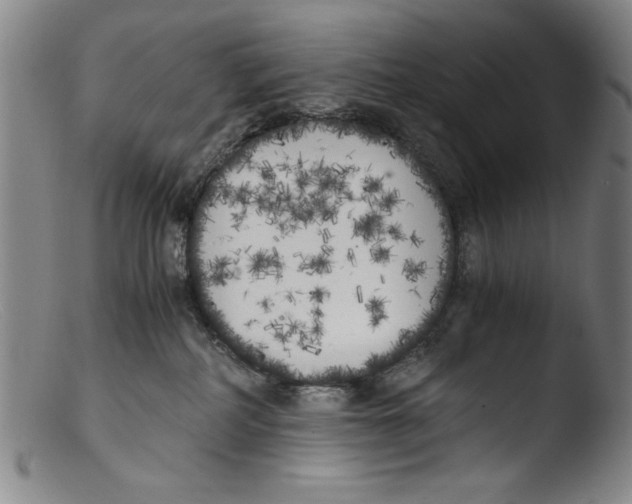 X0000103310234200809261344