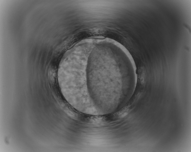 X0000103310235200809261344