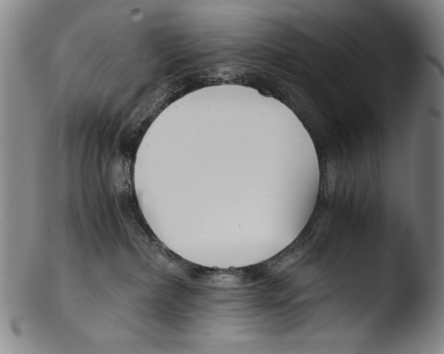 X0000103310236200809261344