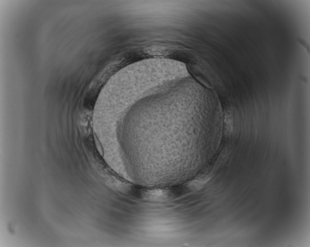 X0000103310237200809261344